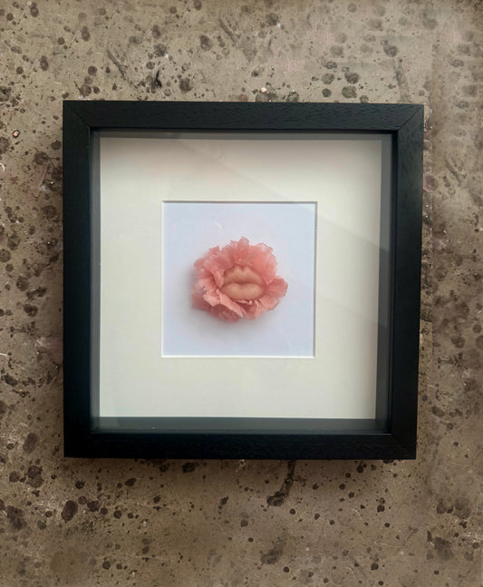 Emergency Kiss, framed 25 x 25cm
